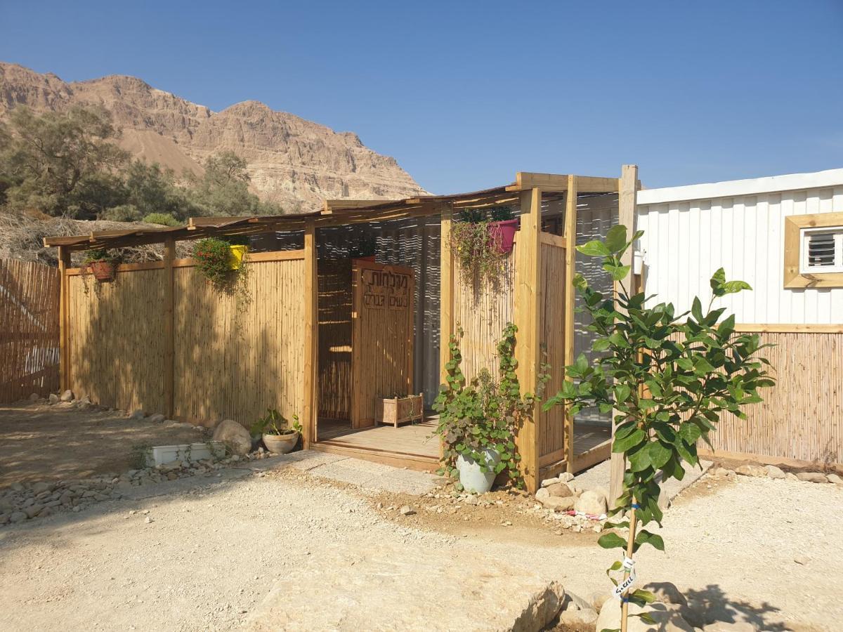 Ein Gedi Caravan By Dory Caravan Exteriér fotografie